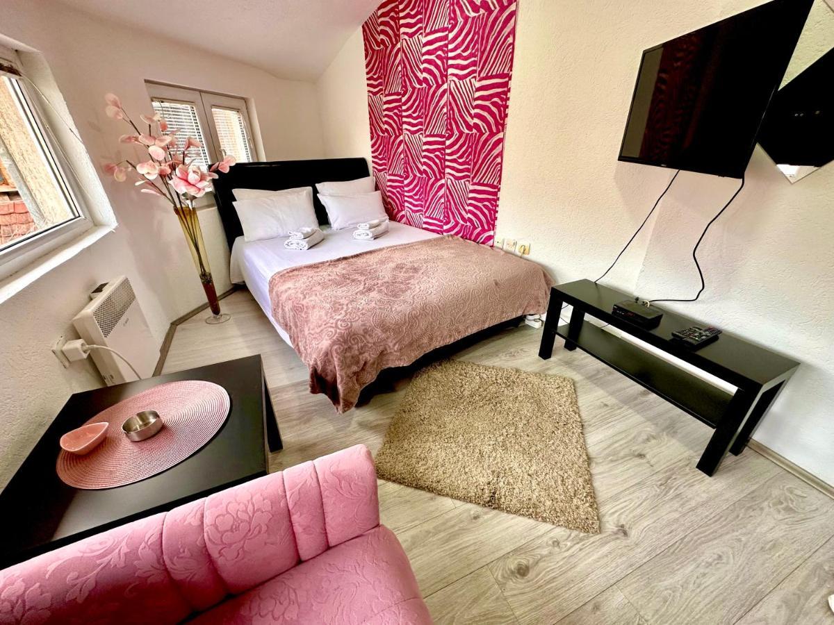 Apartmani Aleksandra U Centru Grada Kragujevac Exterior foto
